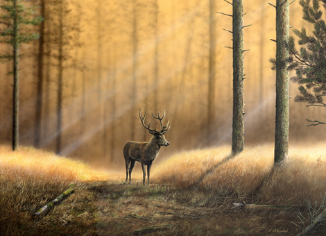Лесные животные от художника Nigel Artingstall